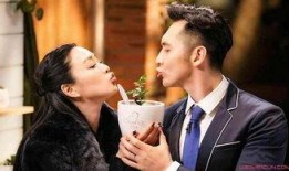 天涯爆料 袁文康视频大全,袁文康视频大全揭秘，精彩瞬间一网打尽