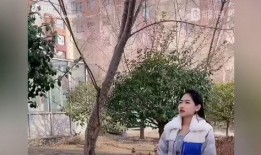 虎妞的爆料视频,娱乐圈惊人内幕大曝光